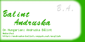balint andruska business card